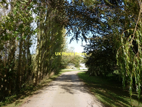 Photo 6"x4" Drove Lane towards Carr House Meaux c2011
