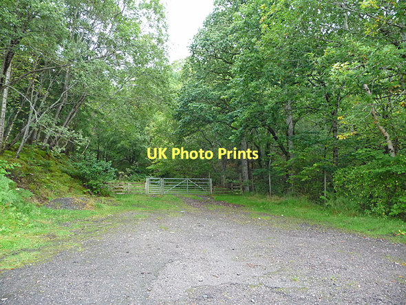 Photo 6"x4" Gateway to the forest Bunloit c2011
