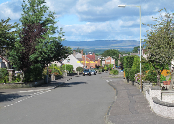 Photo 6"x4" Muircroft Terrace West Hillyland c2011