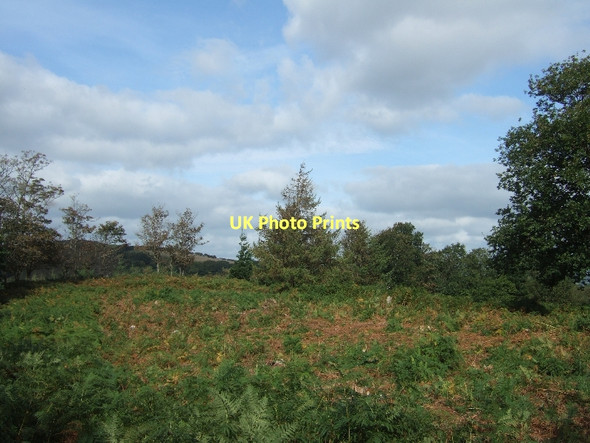 Photo 6"x4" The central part of Wooston Castle (Iron Age hillfort) Cheriton Cross\/SX7792 c2011