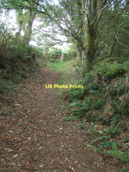 Photo 6"x4" Footpath to the east side of Butterdon Down Moretonhampstead c2011