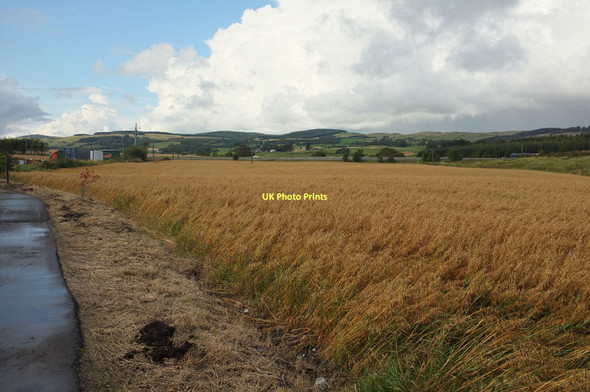 Photo 6"x4" Field at the end of Mill Lade Kinross c2011