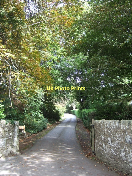 Photo 6"x4" Drive of Holcombe residential home Moretonhampstead c2011