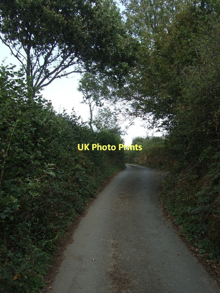 Photo 6"x4" Minor road near Holcombe House Moretonhampstead c2011