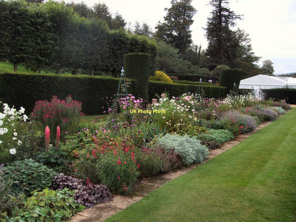 Photo 6"x4" Flowerbed - Squerryes Court Goodley Stock c2011