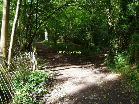Photo 6"x4" Bridleway junction at southern end of Jelleys Hollow Rowly c2011