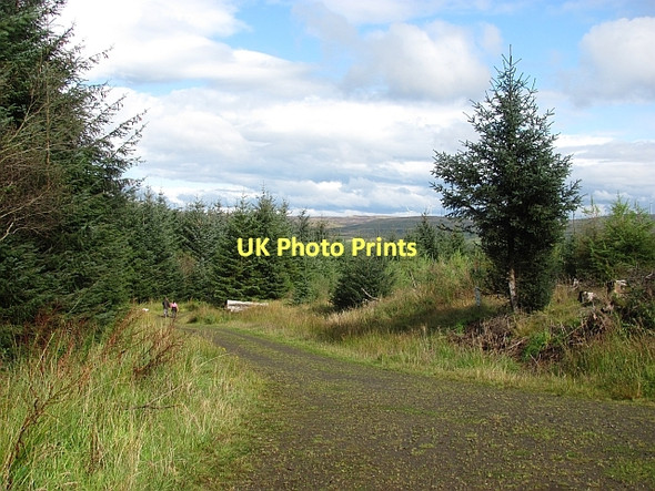 Photo 6"x4" Forest road junction, Carron Valley Little Bin\/NS6782 c2011