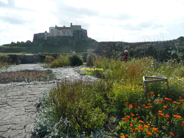 Photo 6"x4" In the Gertrude Jekyll Garden Holy Island\/NU1241 c2011