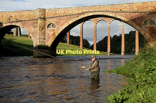 Photo 6"x4" Salmon fishing on the River Tweed Newstead\/NT5634 c2011