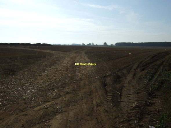 Photo 6"x4" Farmland off Blacksmith's Lane Marr\/SE5105 c2011