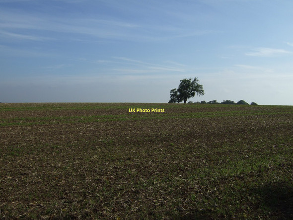 Photo 6"x4" Farmland, Sheep Walks Barnburgh c2011