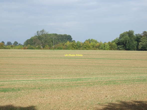 Photo 6"x4" Farmland off Street Lane Brodsworth c2011