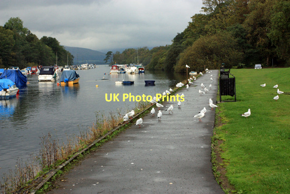 Photo 6"x4" Boats on the river Leven Alexandria c2011