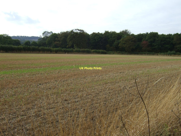 Photo 6"x4" Farmland near Hooton Pagnell Wood Hooton Pagnell c2011