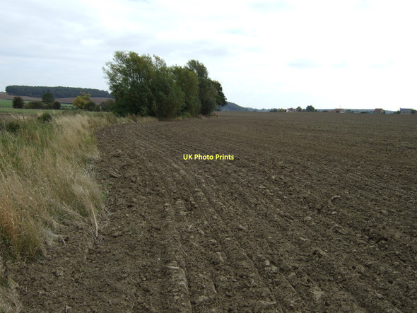 Photo 6"x4" Hedgerow and field off Hardwick Road Pontefract c2011