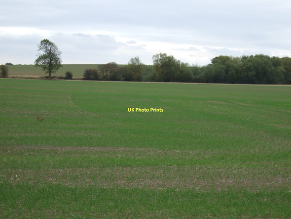 Photo 6"x4" Farmland near Sharlston Sharlston c2011