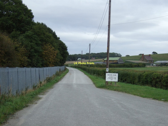 Photo 6"x4" Track to Thorntree Farm Walton\/SE3517 c2011