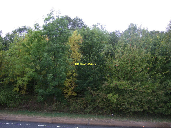 Photo 6"x4" Woodland beside the A628 Hemsworth\/SE4213 c2011