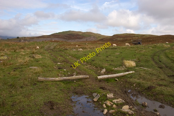 Photo 6"x4" Footpath barrier Grassgarth\/SD4499 c2009