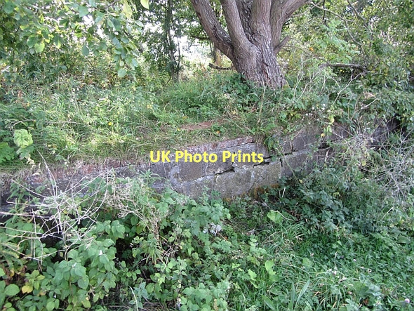 Photo 6"x4" Platform edge, Rosewell Station Bonnyrigg c2011