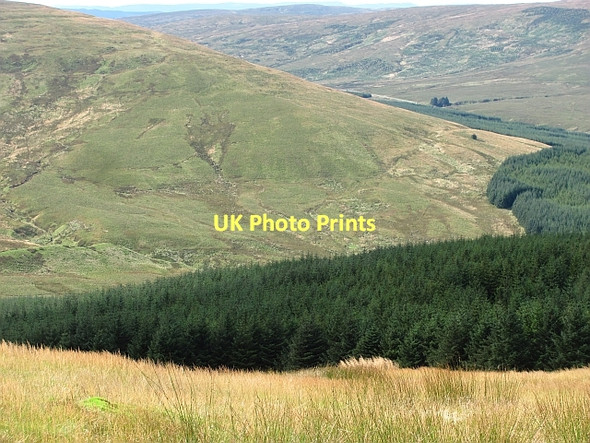 Photo 6"x4" Forestry, Meikle Bin Bin Bairn c2011