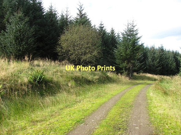 Photo 6"x4" Logging road, Carron Valley Carron Valley Forest c2011