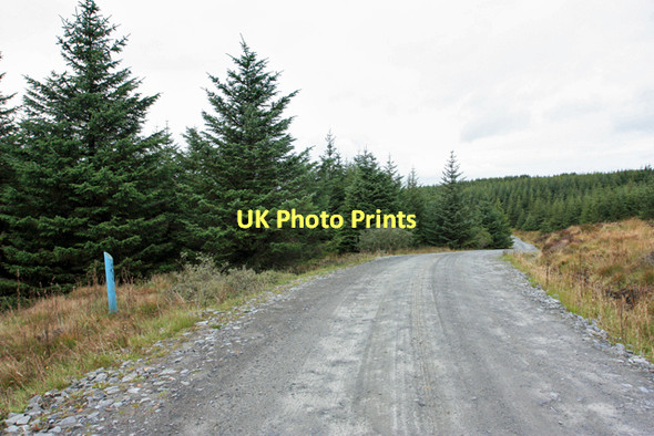 Photo 6"x4" Kintyre Way Killean\/NR6944 c2011