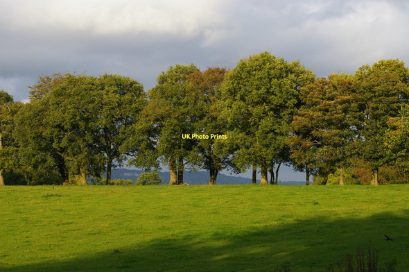 Photo 6"x4" Looking north-east off Rabies Heath Road Bletchingley c2011