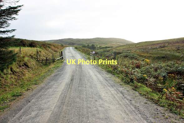 Photo 6"x4" Leaving the forest Killean\/NR6944 c2011