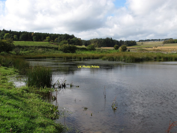 Photo 6"x4" Hawickshiel valley at Chapel Mains Chapel Mains c2011