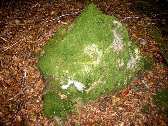 Photo 6"x4" A moss covered boulder Huntly c2011