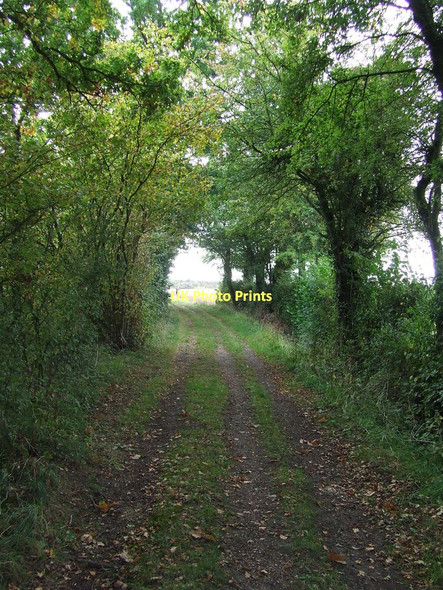 Photo 6"x4" St.Edmunds Way Hart's Green c2011