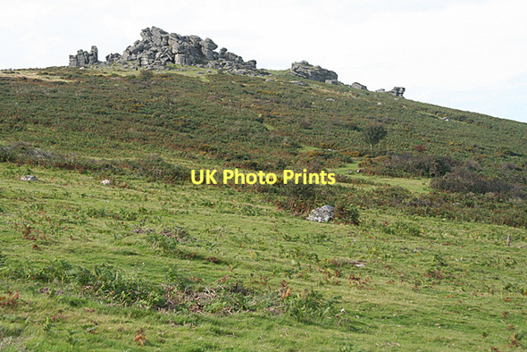 Photo 6"x4" Manaton: Houndtor Down Bonehill\/SX7277 c2011