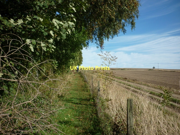 Photo 6"x4" The Wolds Way towards Screed Plantation Duggleby c2011