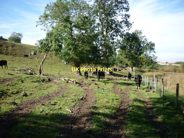 Photo 6"x4" Heading west below Bassett Brow Thorpe Bassett c2011