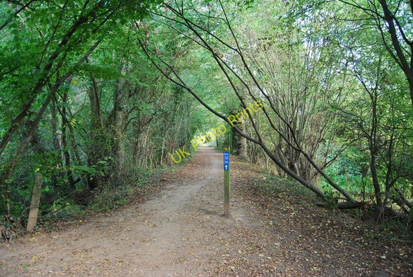 Photo 6"x4" National Cycleway 12 by The Straight Mile Leigh\/TQ5546 c2009
