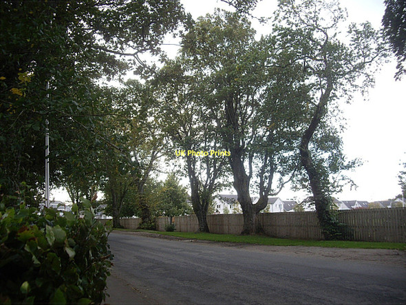 Photo 6"x4" Meadow Bridge Road Huntly c2011