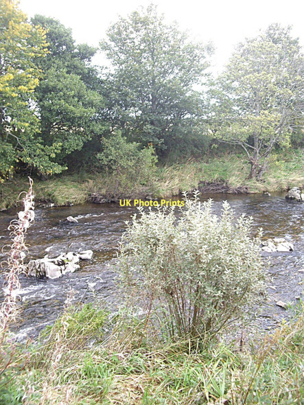 Photo 6"x4" Deveron riverbank in autumn Huntly c2011