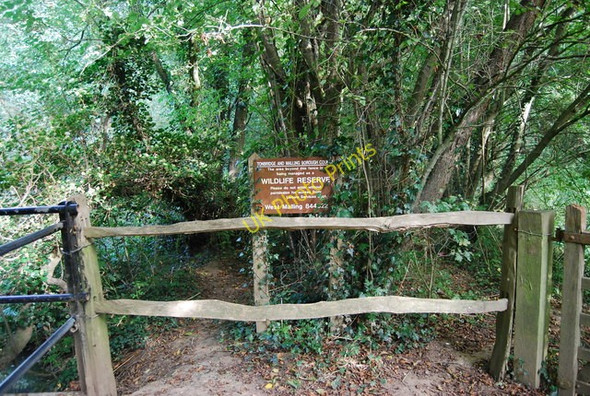 Photo 6"x4" Wildlife Reserve by James Christie Bridge Leigh\/TQ5546 c2009