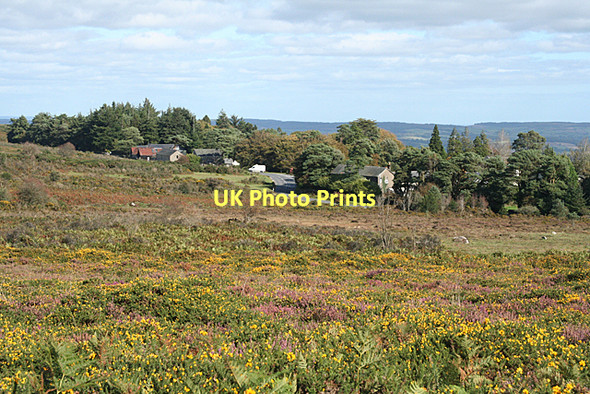 Photo 6"x4" Ilsington: towards Haytor Vale Haytor Vale c2011