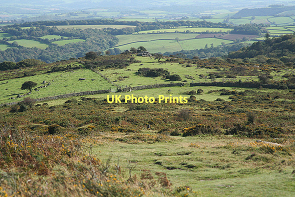 Photo 6"x4" Ilsington: towards Bag Tor Lewthorn Cross c2011