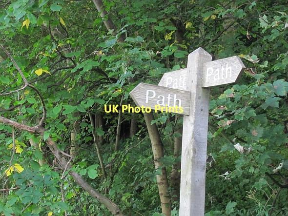Photo 6"x4" All roads lead to Path Muirhouses\/NT0180 c2011
