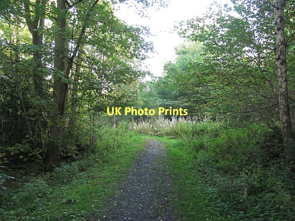 Photo 6"x4" Path, Shore Wood Cauldcoats Holdings c2011