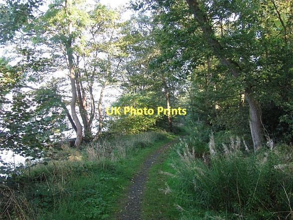 Photo 6"x4" Path, Shore Wood Cauldcoats Holdings c2011 P1