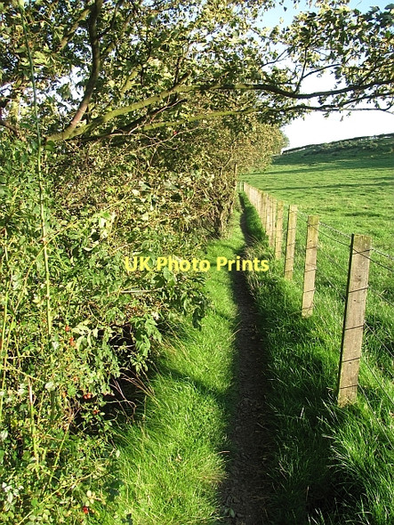 Photo 6"x4" Blackness - Bo'ness path Blackness\/NT0580 c2011