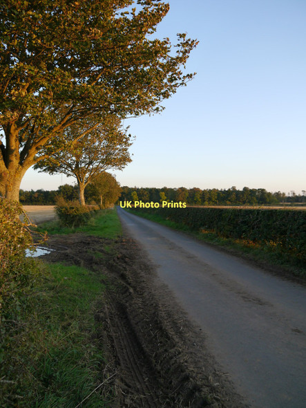 Photo 6"x4" Country Lane Near Whinkerstones Leitholm c2011