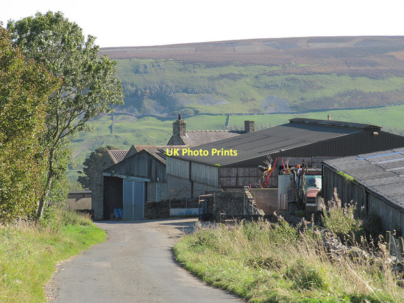 Photo 6"x4" Farm on the approach to Marrick Marrick c2011