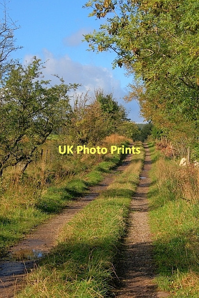 Photo 6"x4" Track at Swinescales Beckces c2011