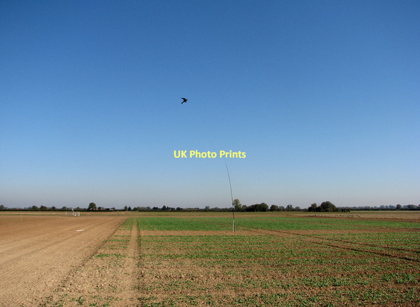 Photo 6"x4" Fen field and bird scarer Clayhithe c2011