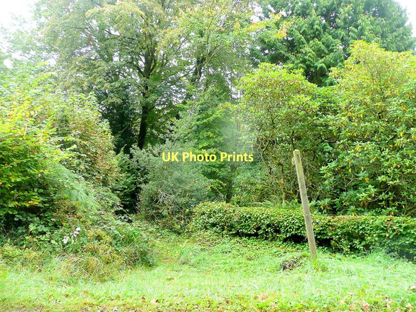 Photo 6"x4" An overgrown green lane Cleddon\/SO5103 c2011